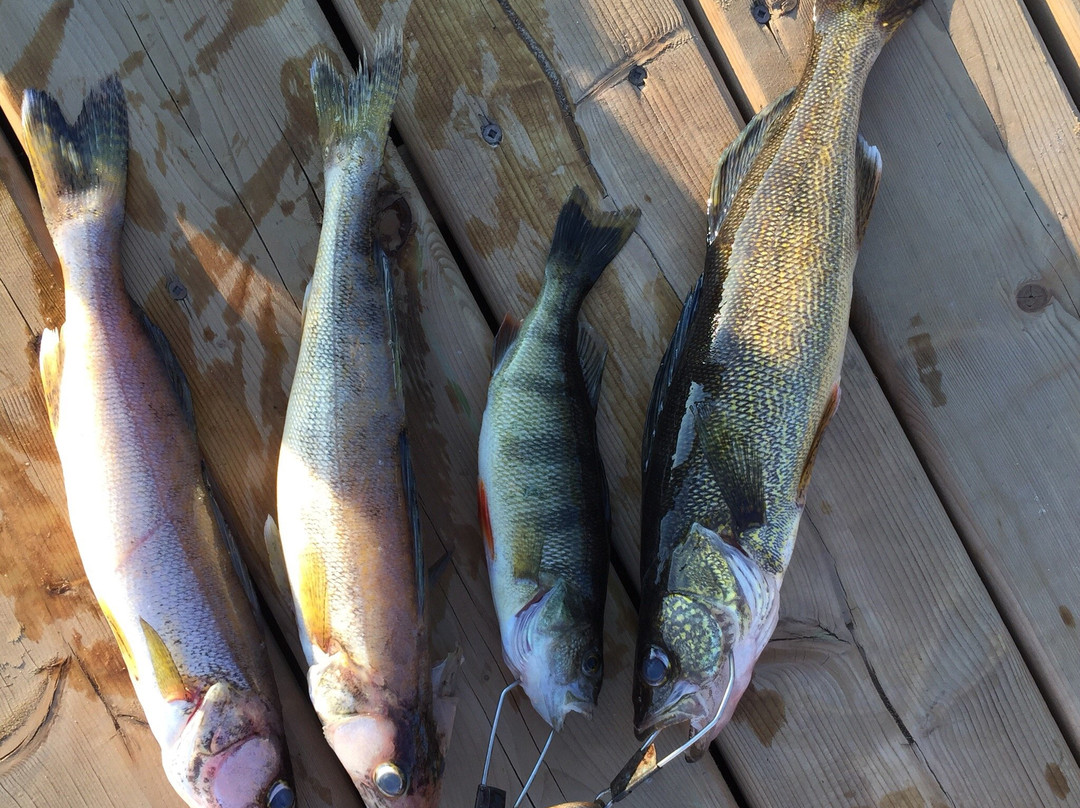 Elk Lake Wilderness Resort