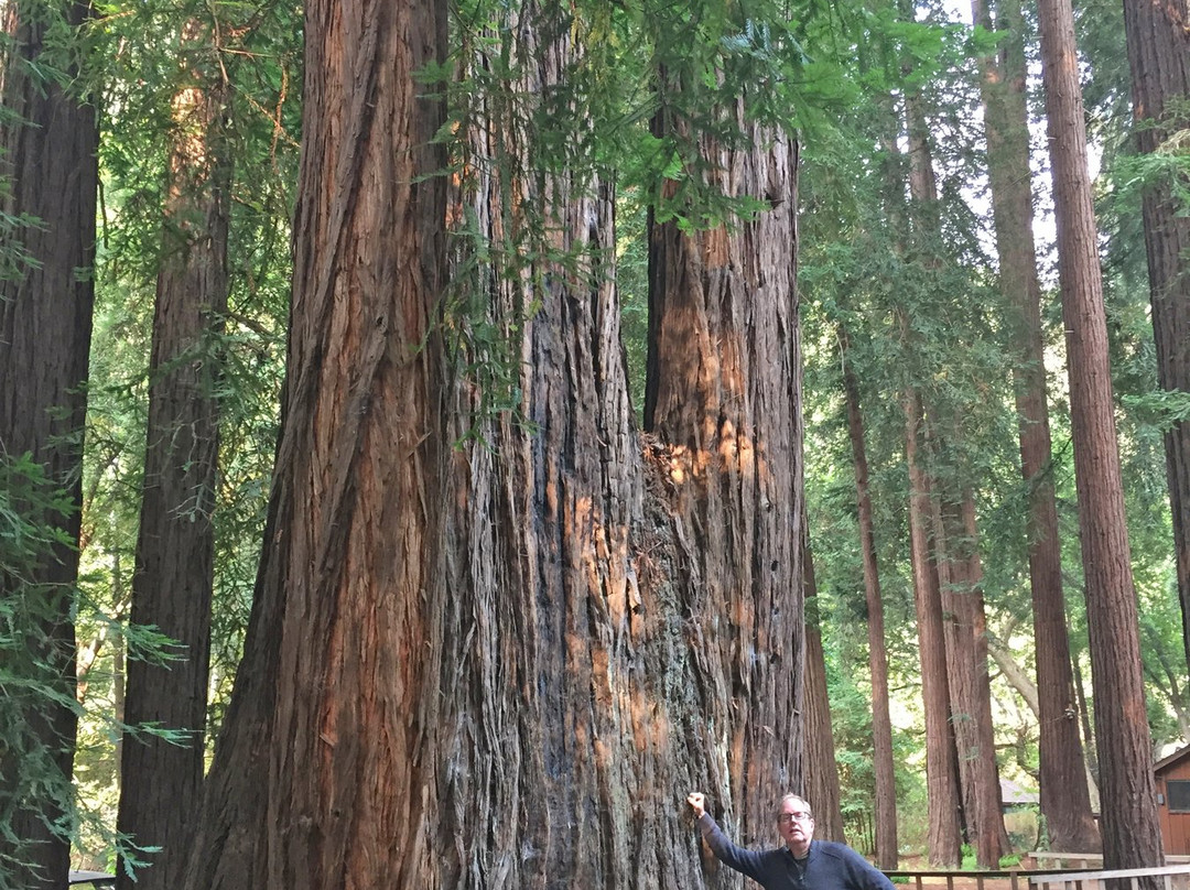 利普伍德度假村主图