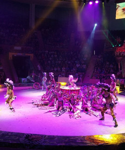 Sochi State Circus景点门票图片