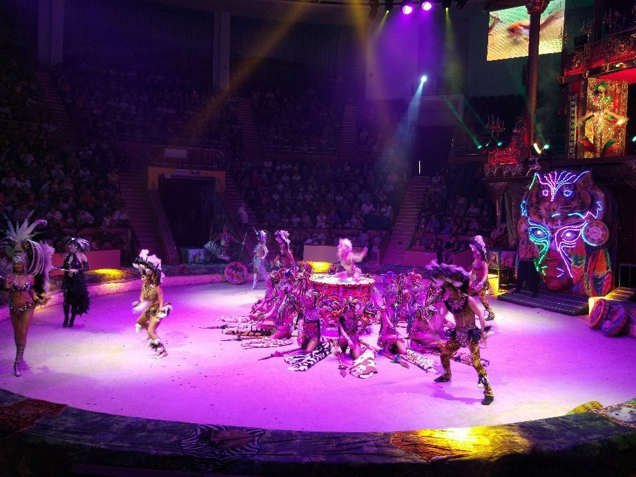 Sochi State Circus-索契必去景点