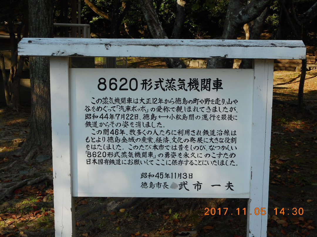 Tokushima Chuo Park景点图片