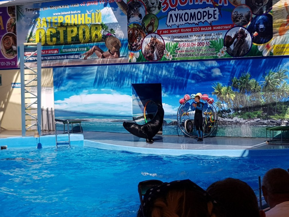 Azov Dolphinarium Nemo景点图片