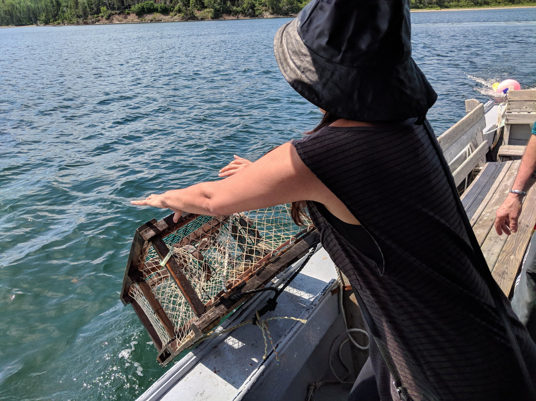 Cape Breton Lobster Adventure Tours景点图片