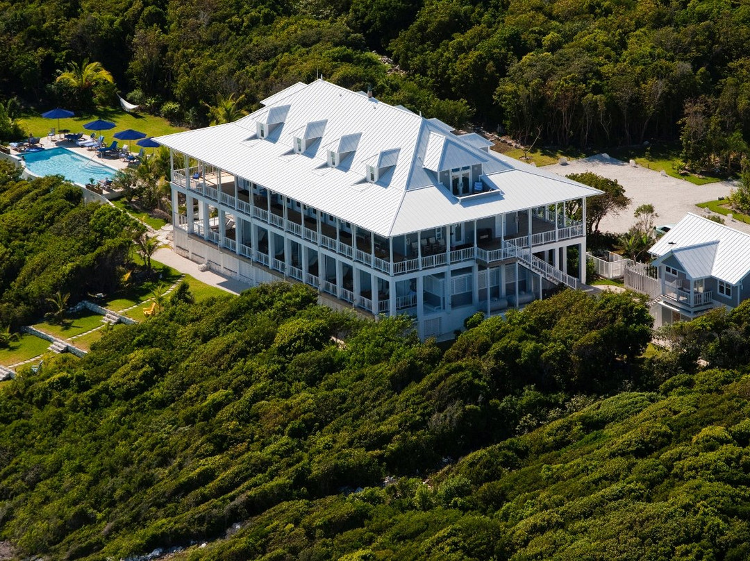 The Delphi Club主图