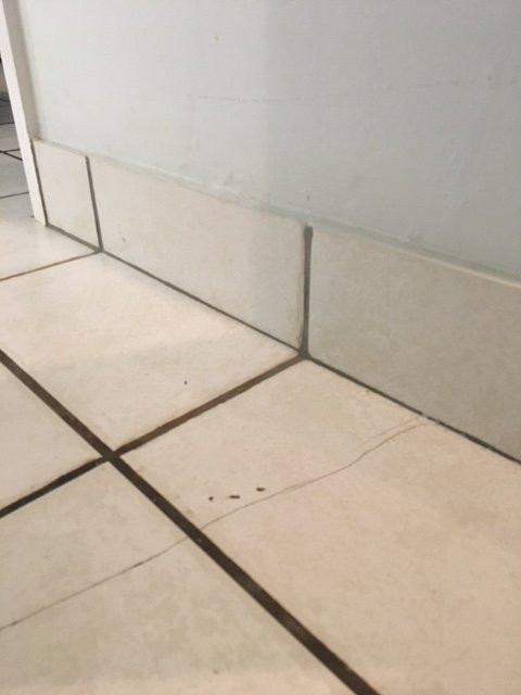 Albatross Guesthouse主图