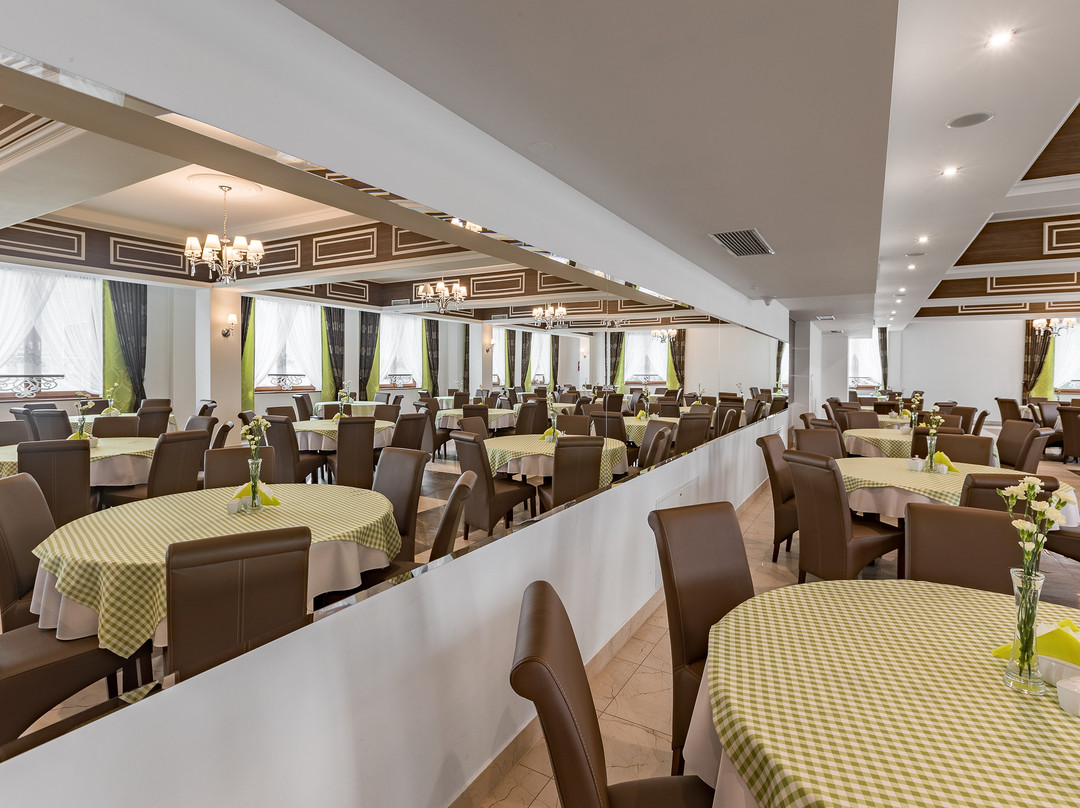 Borowy Dwor - Business, Spa & Fun主图