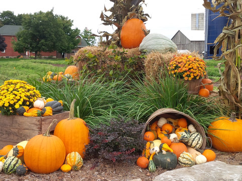 Miller's Bay Farm-Lombardy必去景点