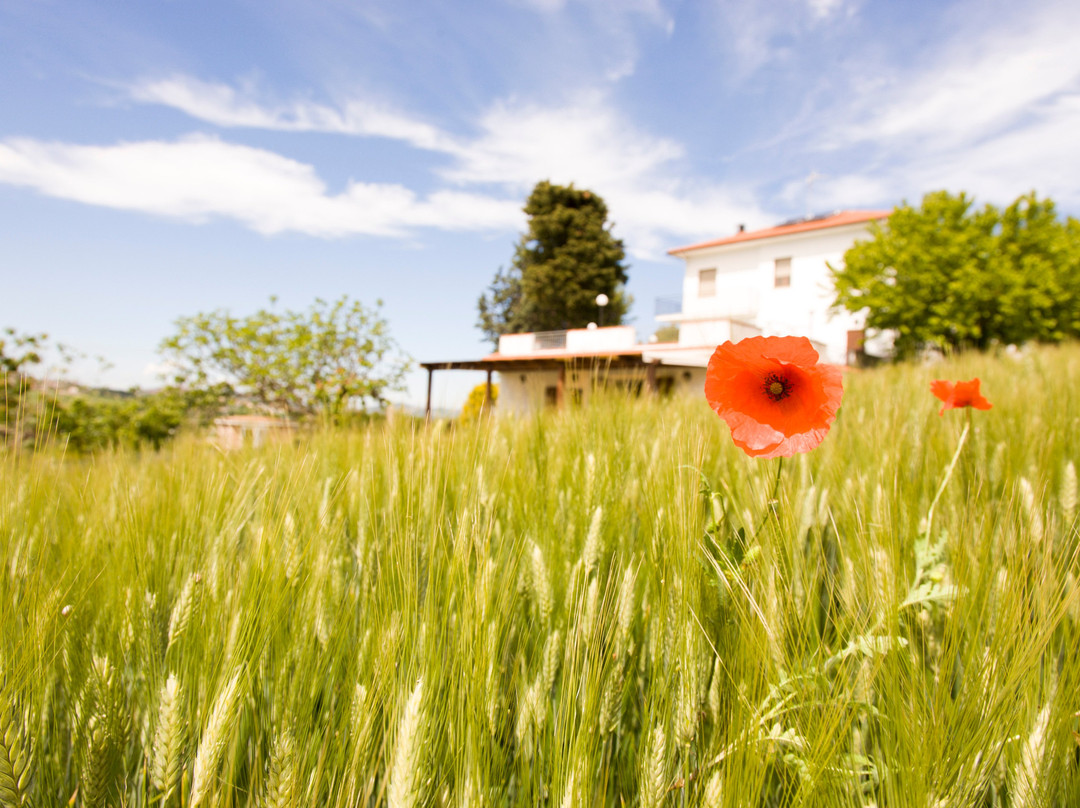 Agriturismo Fiori di Campo