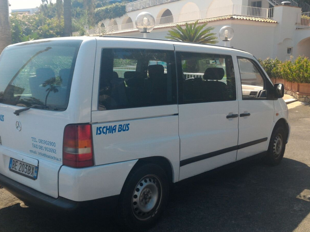 Ischia Bus-伊斯基亚必去景点