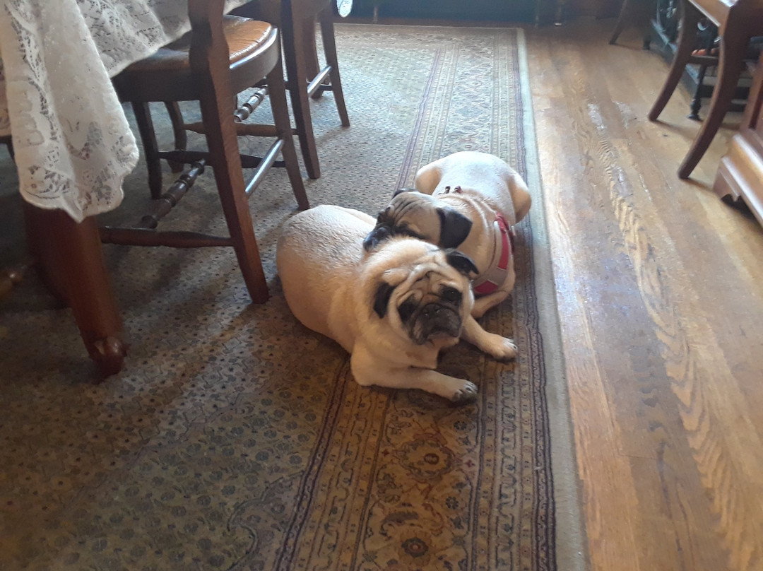 Palmer House Bed and Breakfast主图