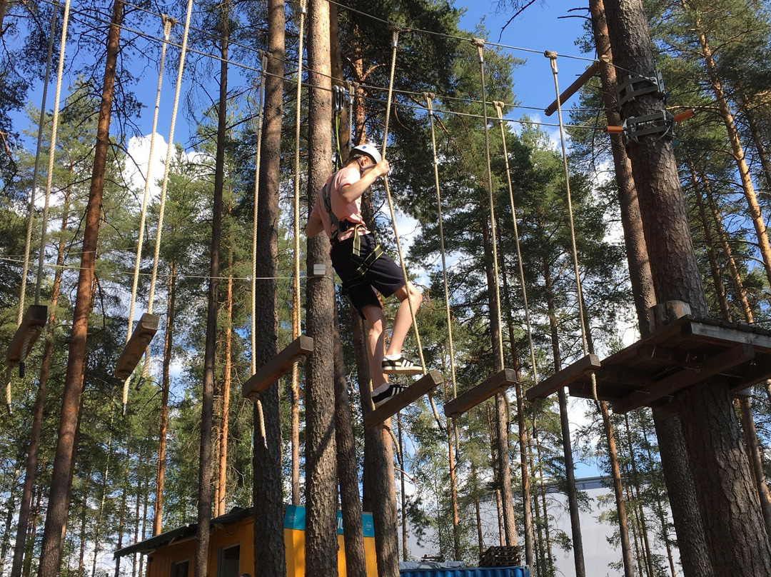 Treetop Adventure Park-Joensuu必去景点