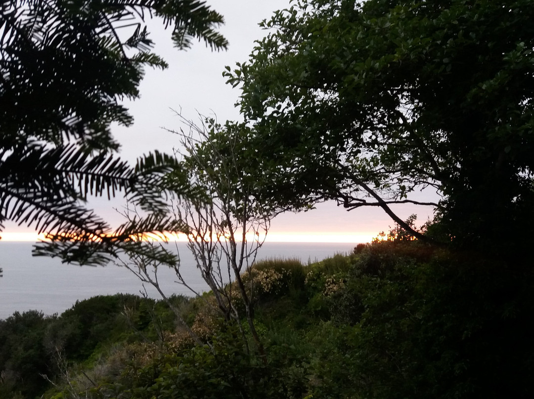 Sea Cliff Motel主图