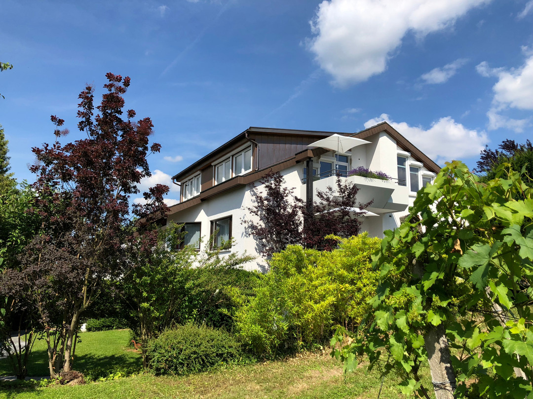 Boutique-Hotel im Weingarten