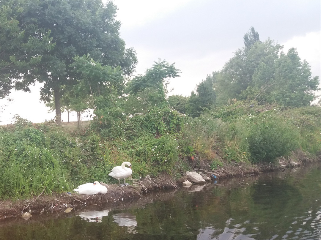 Carlow Town Park-Carlow必去景点
