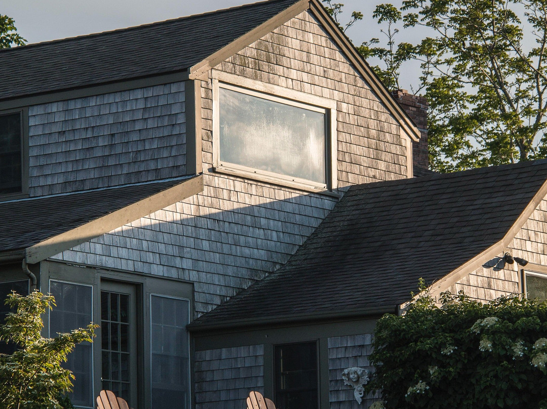 The Ruddy Turnstone主图