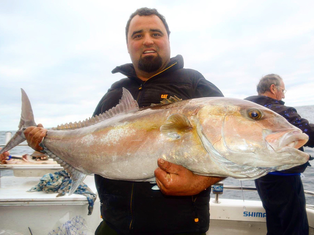 Keen as Fish-Marion Bay必去景点