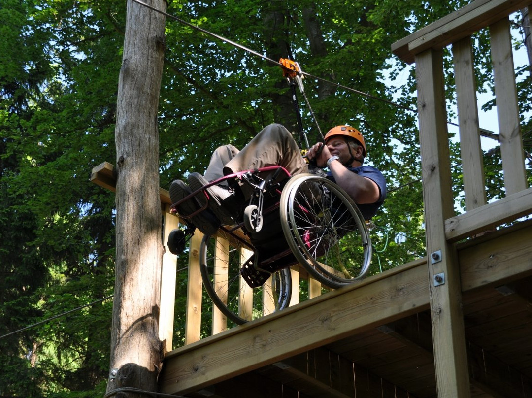 MultiLevel Ziplines & ClimbingPark景点图片