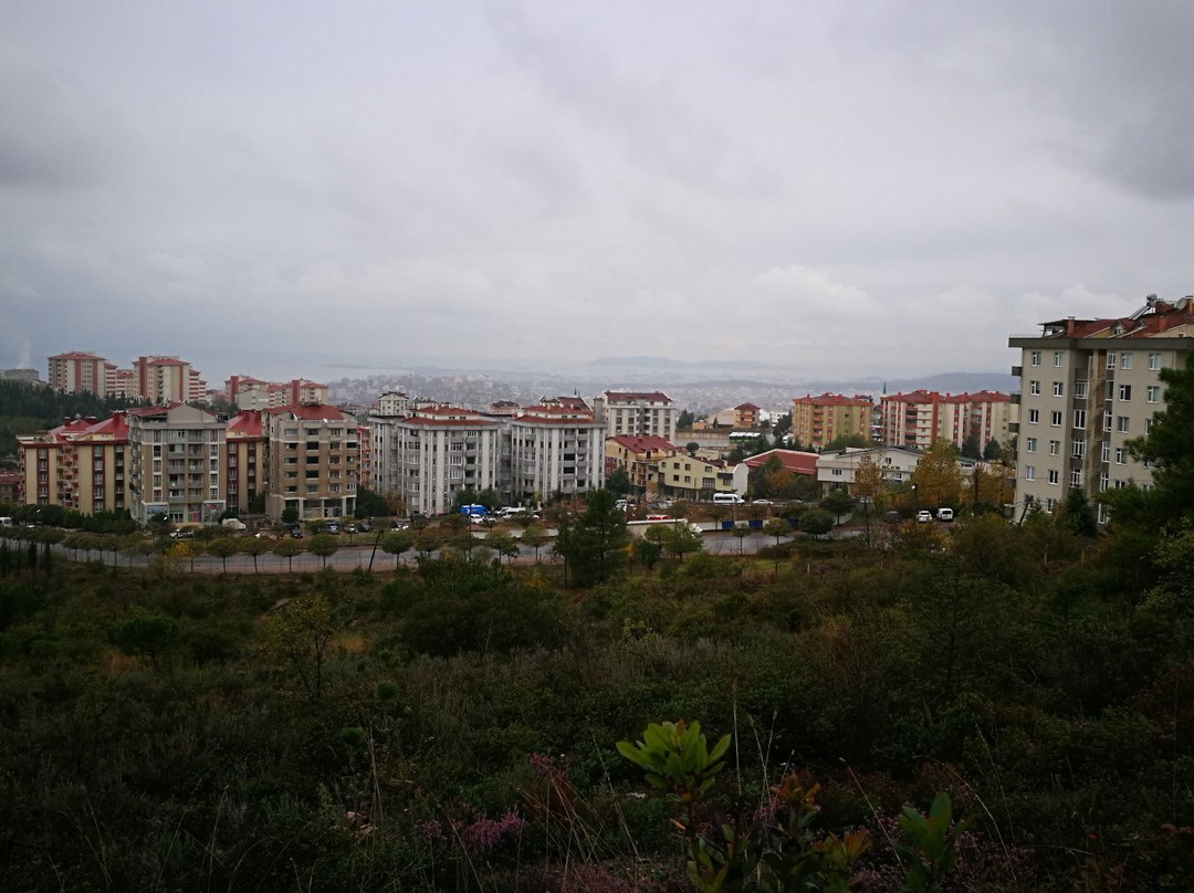 Gazilerdagi Tabiat Parki-Gebze必去景点