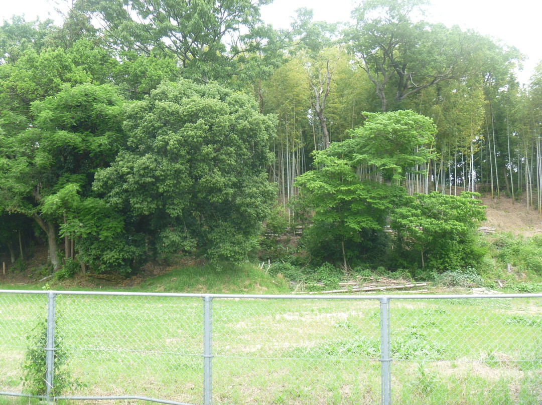 Kutsugawa Kurumazuka, Maruzuka Tombs-城阳市必去景点