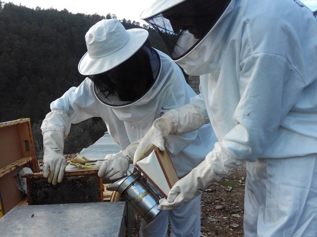 Sabores Hurdanos-Caminomorisco必去景点