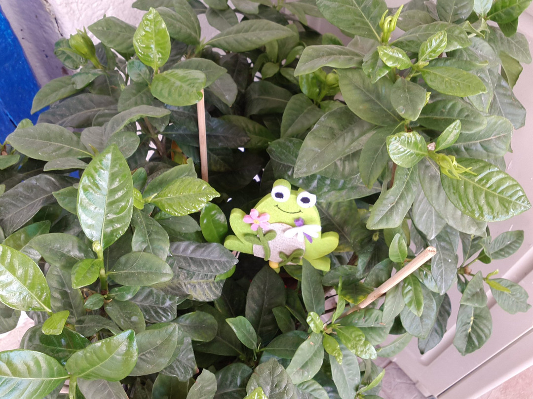 Paradis Studios主图