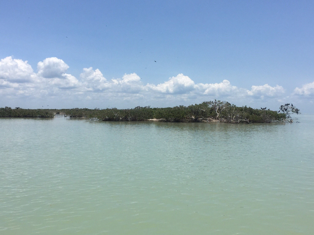 Agencia Palo de Tinte y Servicios-卡门城必去景点