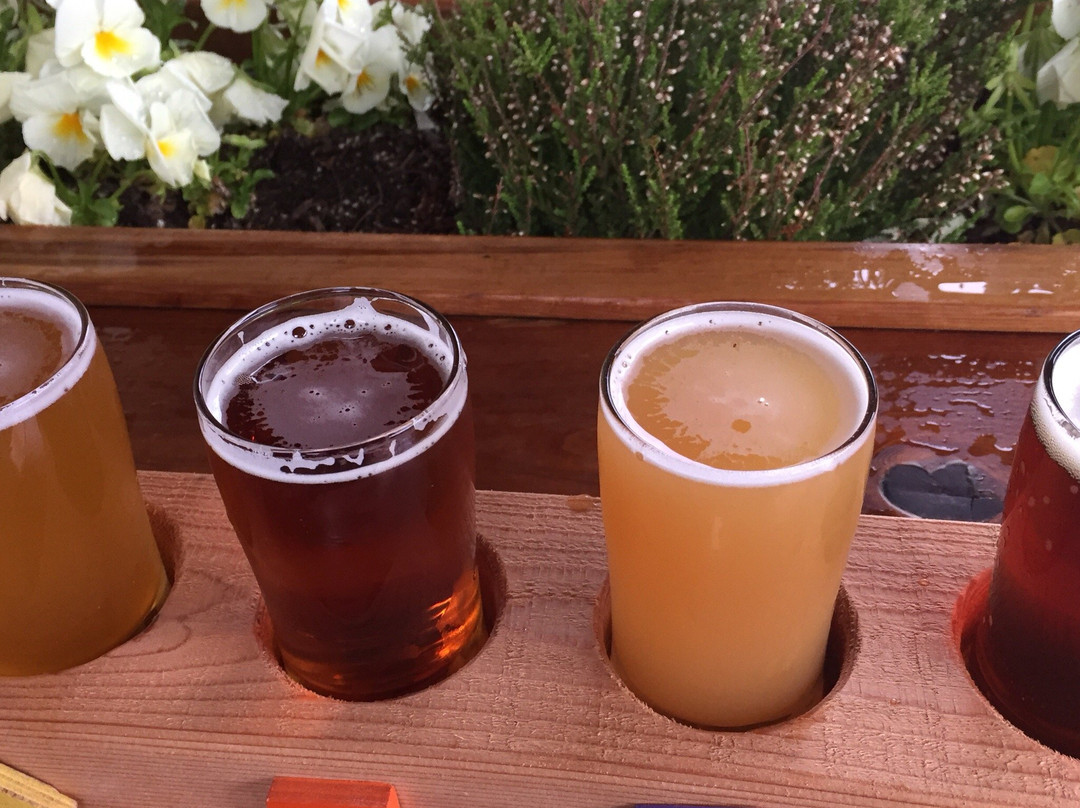 Coast Mountain Brewing-惠斯勒必去景点