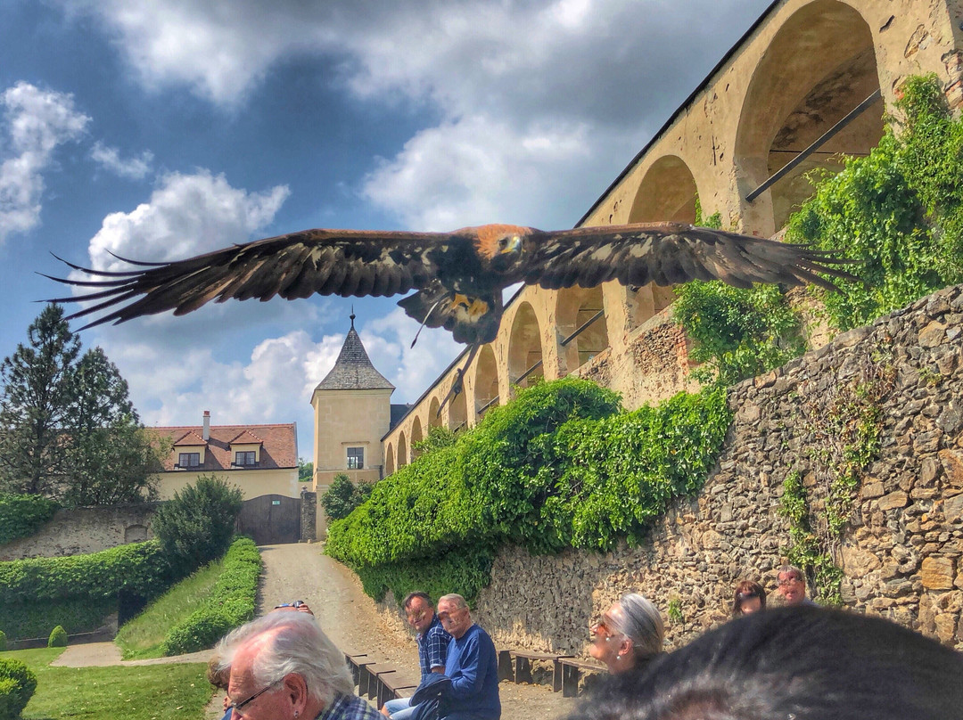 Schlossgasthof Rosenburg主图