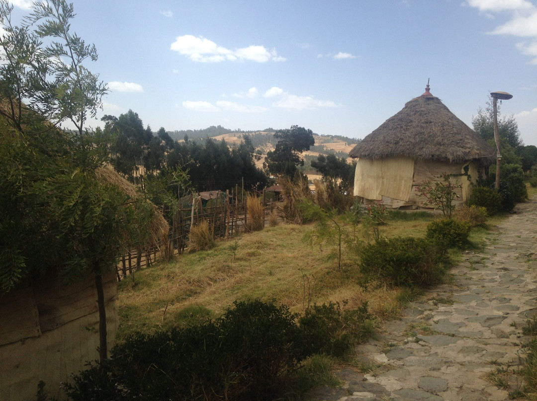 Walya Lodge