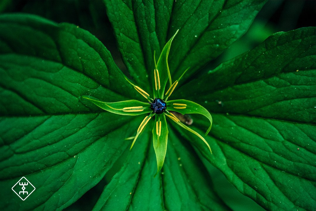 The Latvian Element-里加必去景点