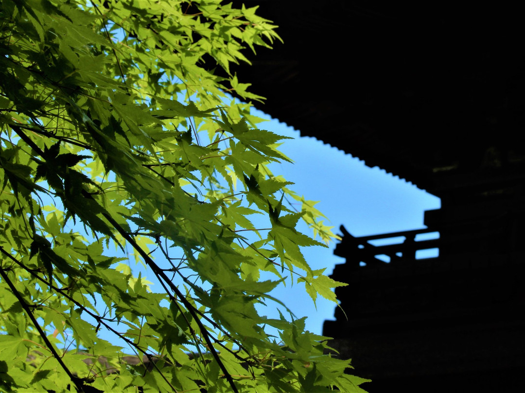 Daiho-ji Temple景点图片