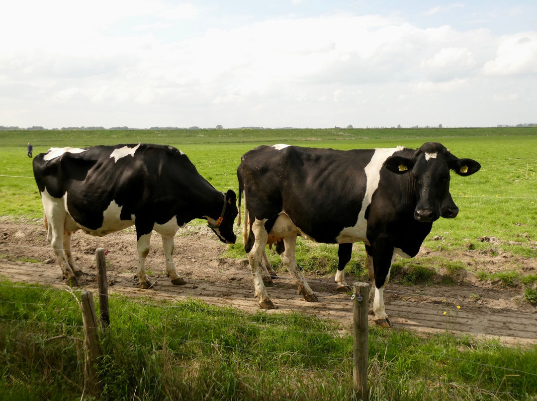 B&B Het Leeuwerveld