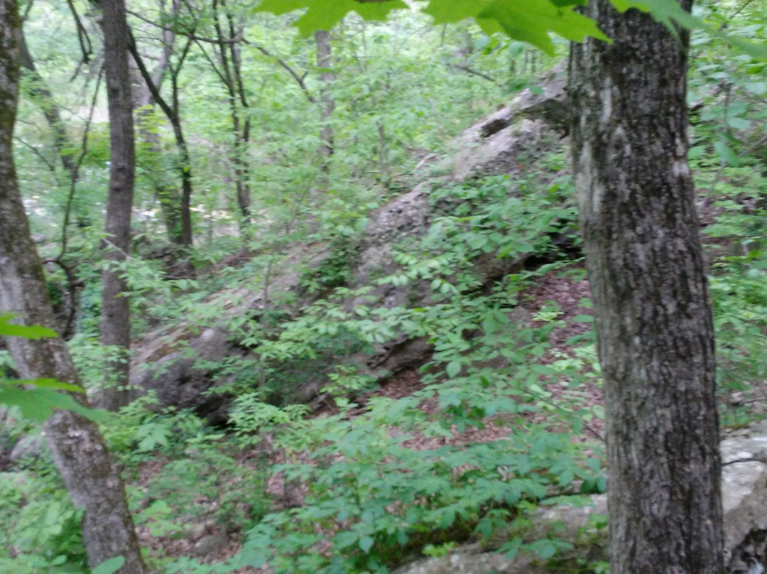 Redbud Valley-Catoosa必去景点