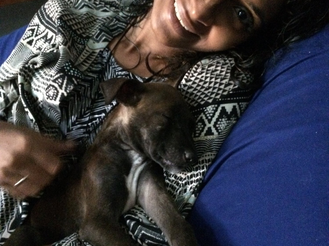 The West Coast House主图