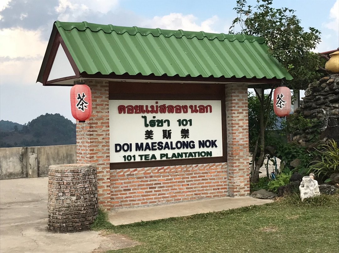 Tea Plantations-美斯乐必去景点