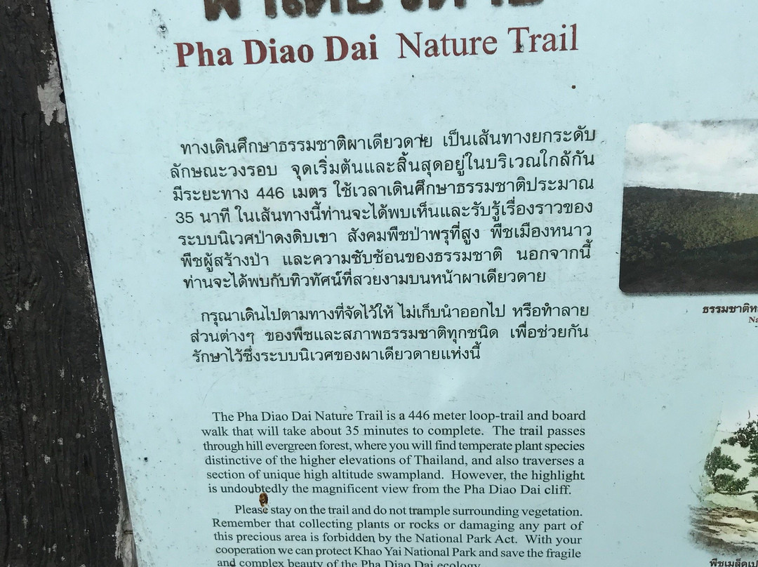 Khao Noi Public Park景点图片