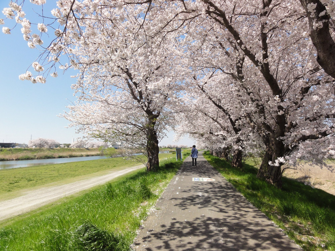 Sakuratsutsumi景点图片