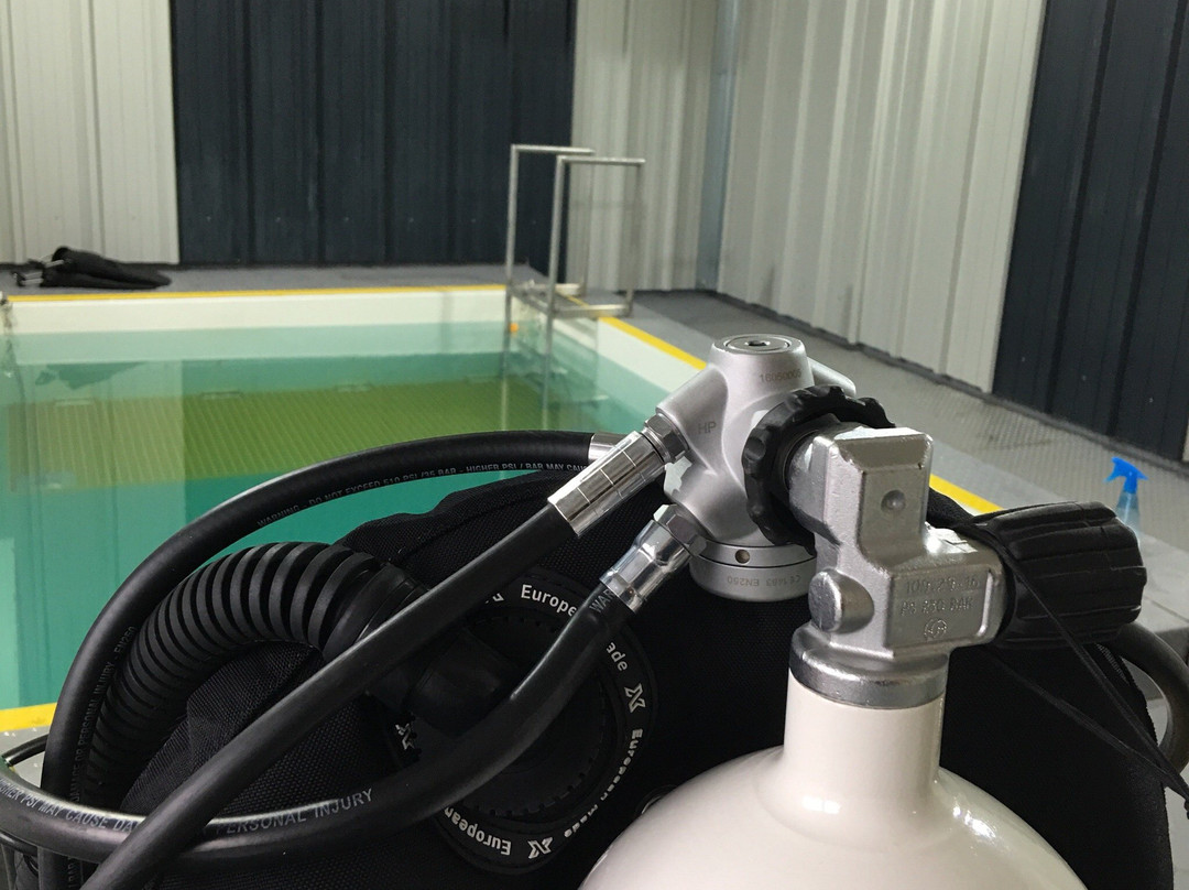 The Fifth Point Diving Centre景点图片