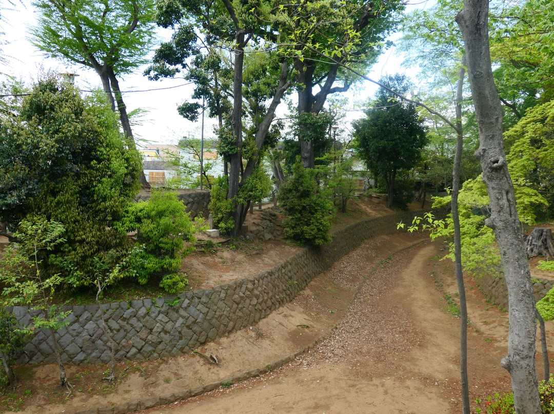 Setagaya Jyoshi Park景点图片