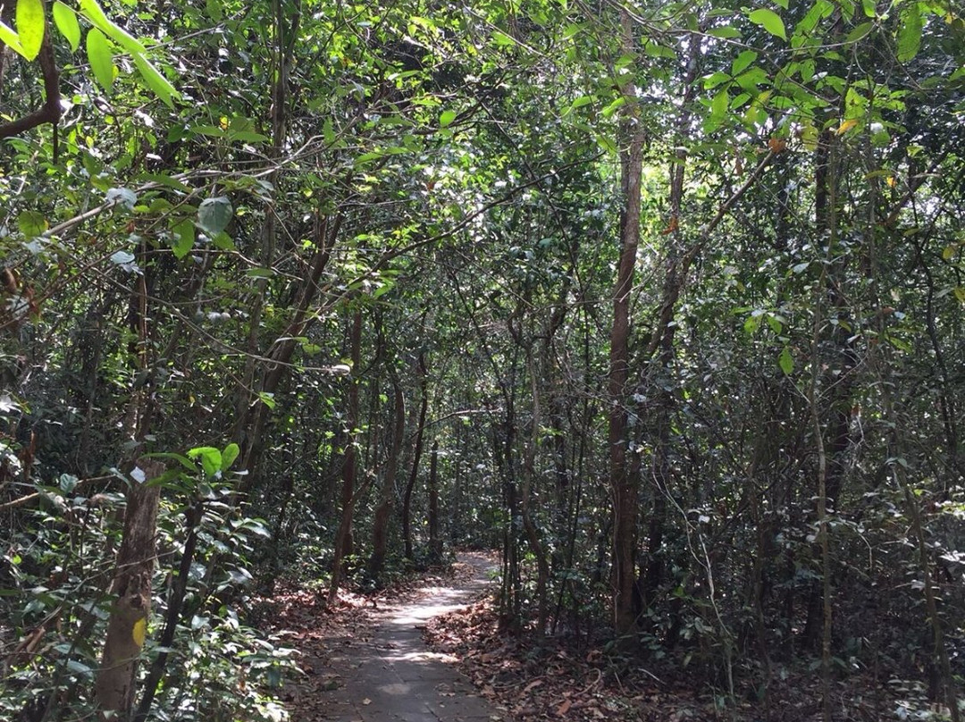 Binh Chau - Phuoc Buu Nature Reserve景点图片