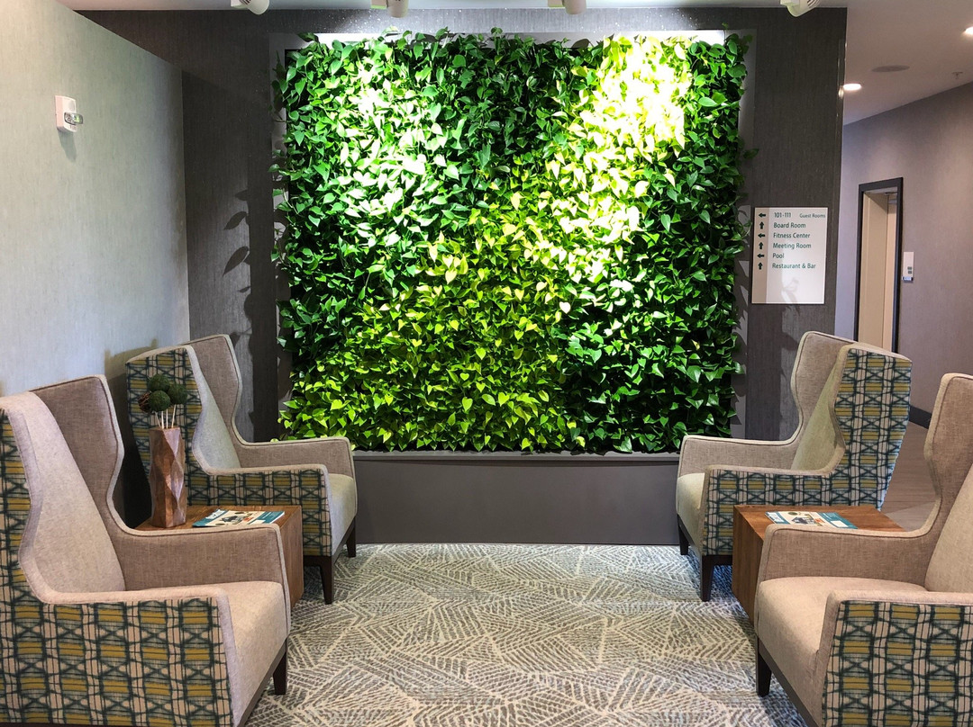 Holiday Inn & Suites Decatur-Forsyth By IHG主图