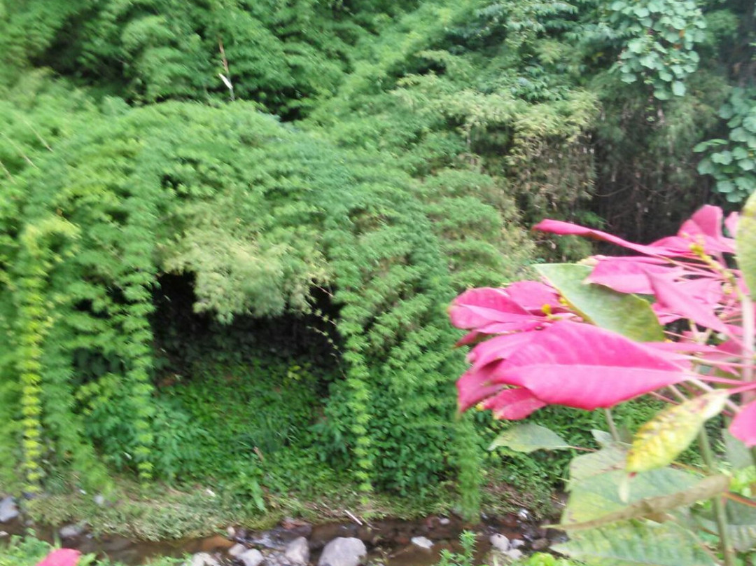 Las Orquideas Bed & Breakfast主图