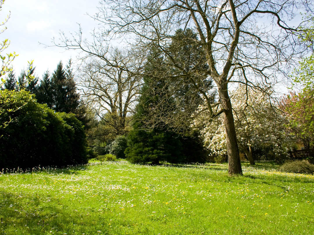奥伯塔尔酒店主图