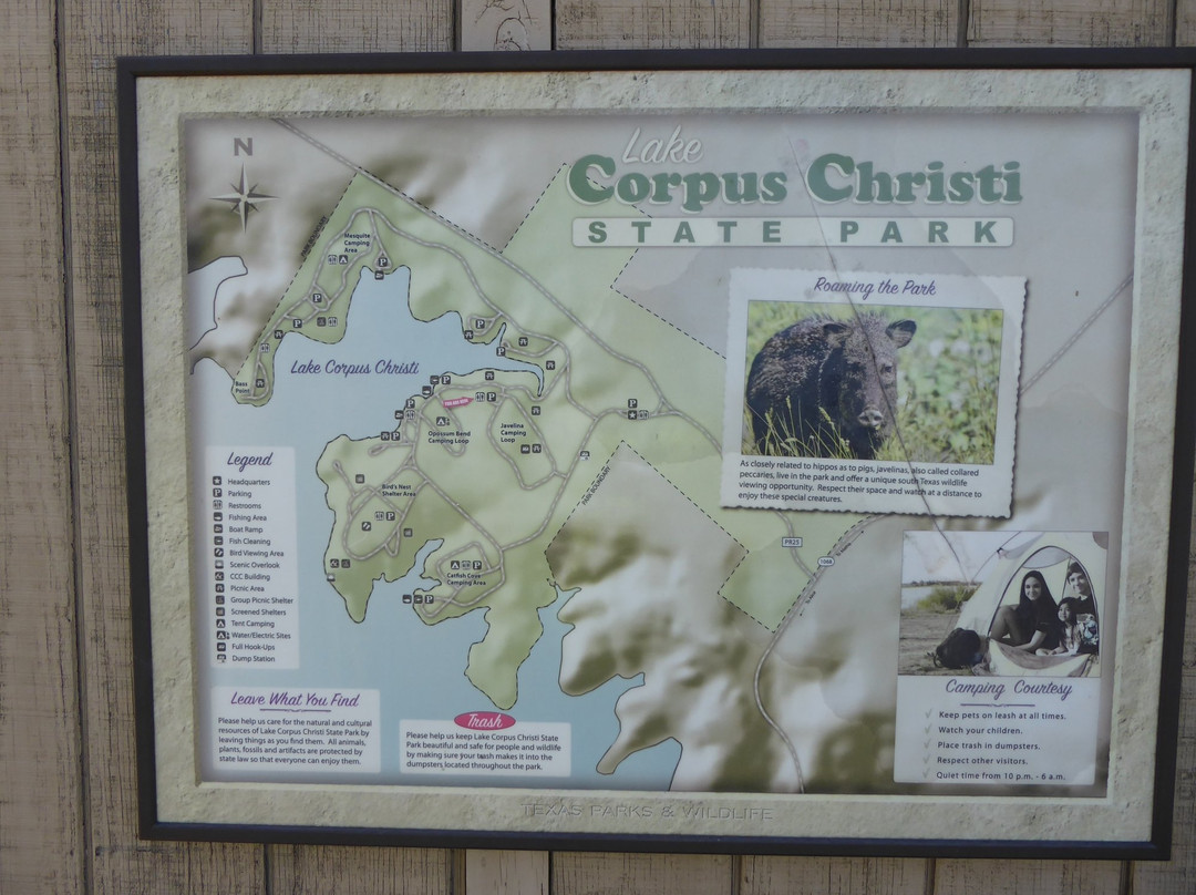 Lake Corpus Christi State Park景点图片