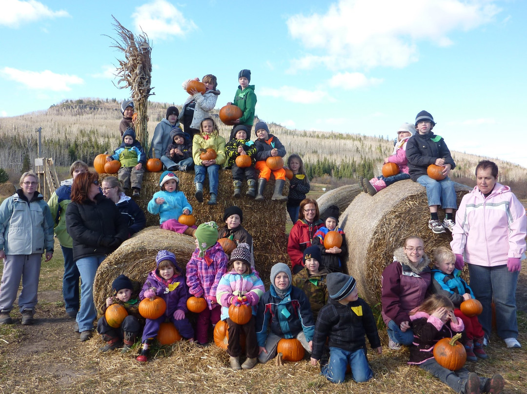 Gammondale Farm-Slate River Valley必去景点