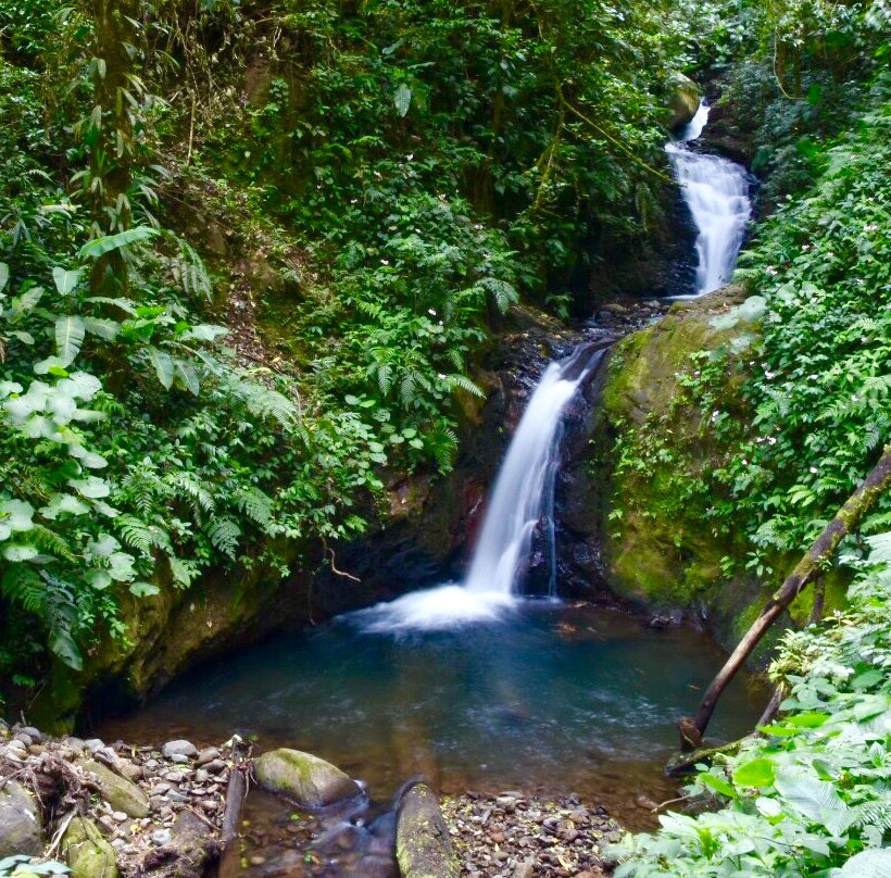 蒙特维多云雾森林自然保护区旅游攻略图片