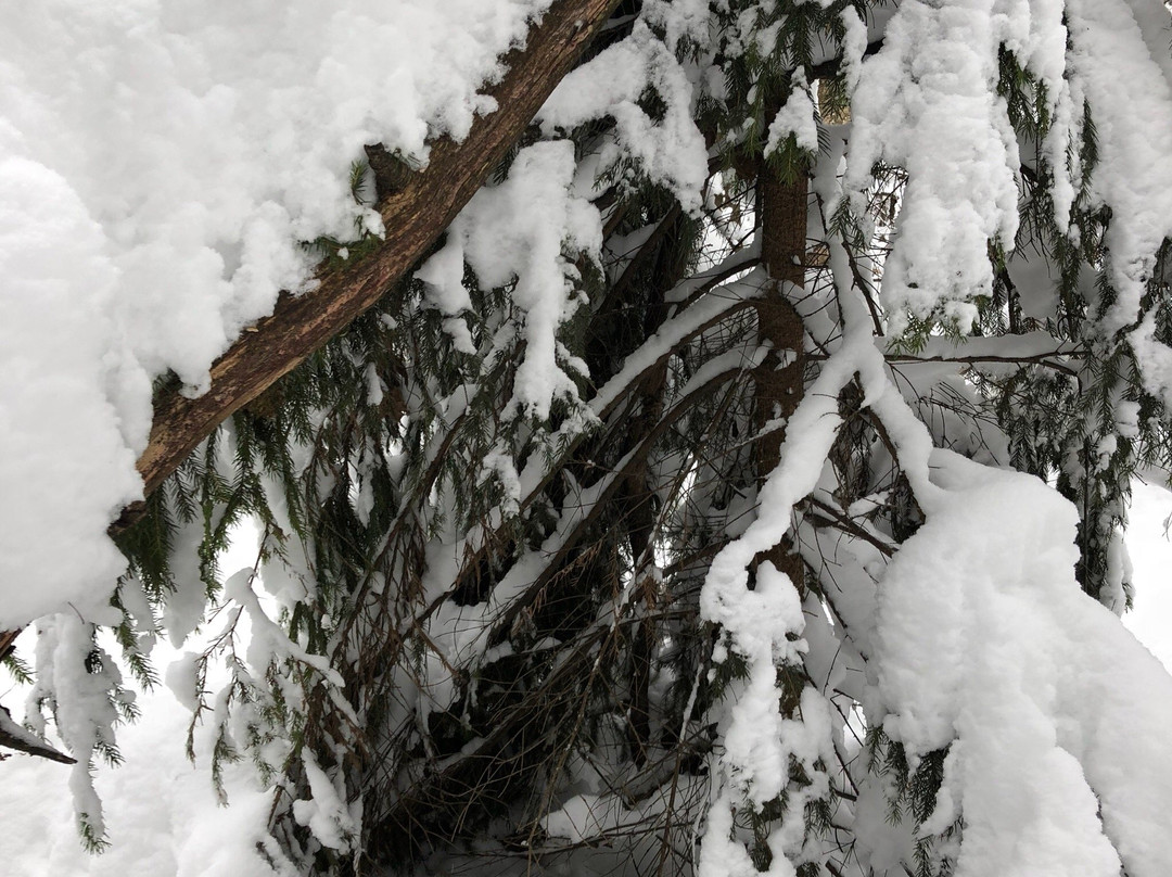 Sport Club Alfa-Bittsa-莫斯科必去景点