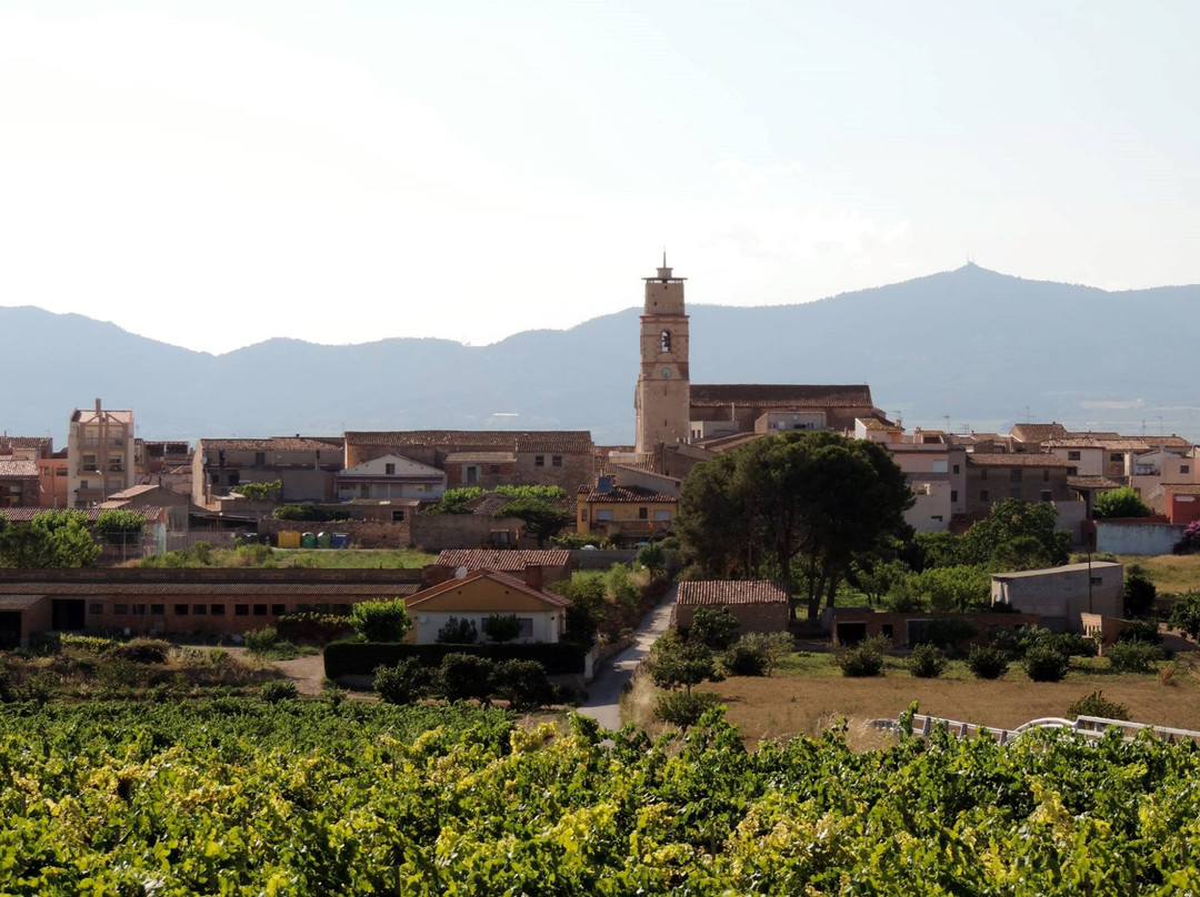 Alio旅游攻略图片