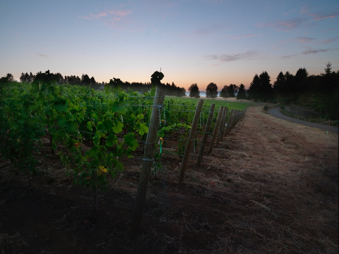 Domaine Roy & fils-Dundee必去景点