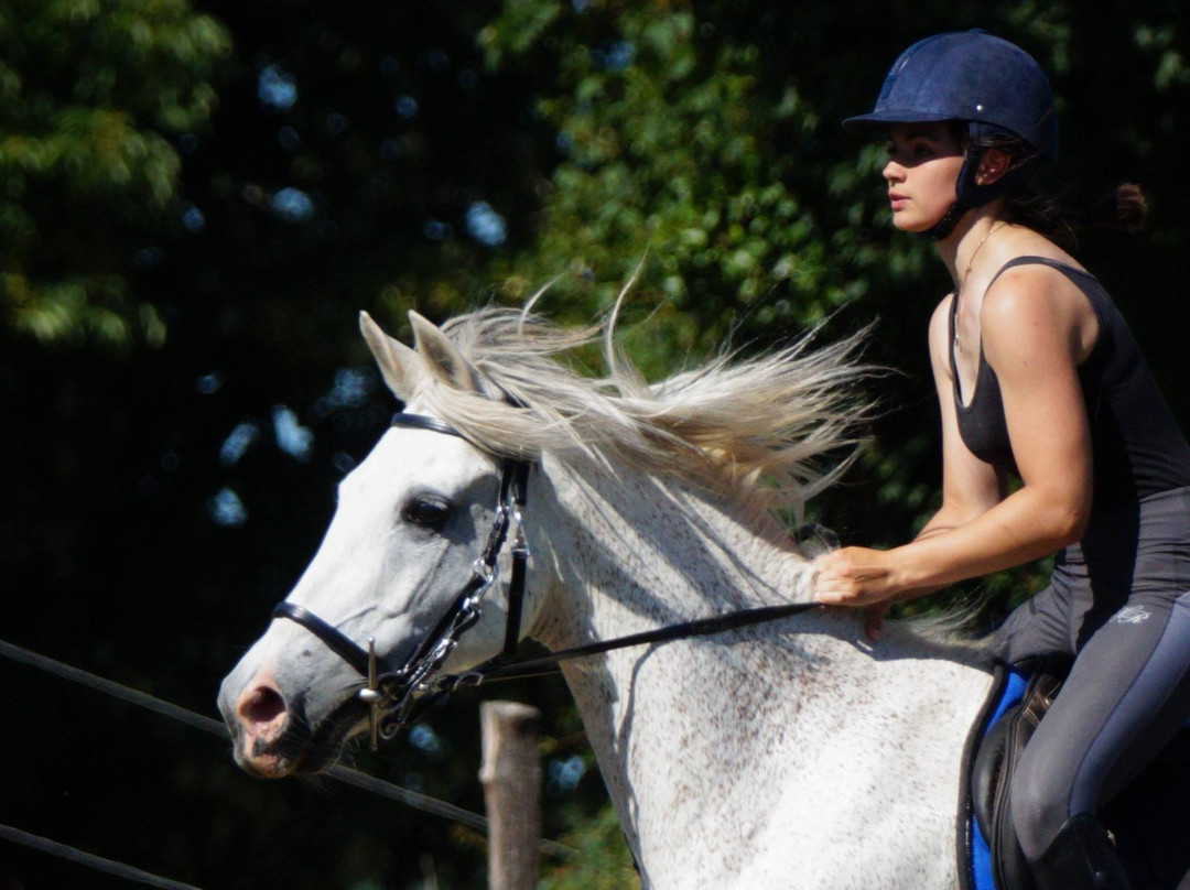 Ferme Equestre de la Gresigne景点图片